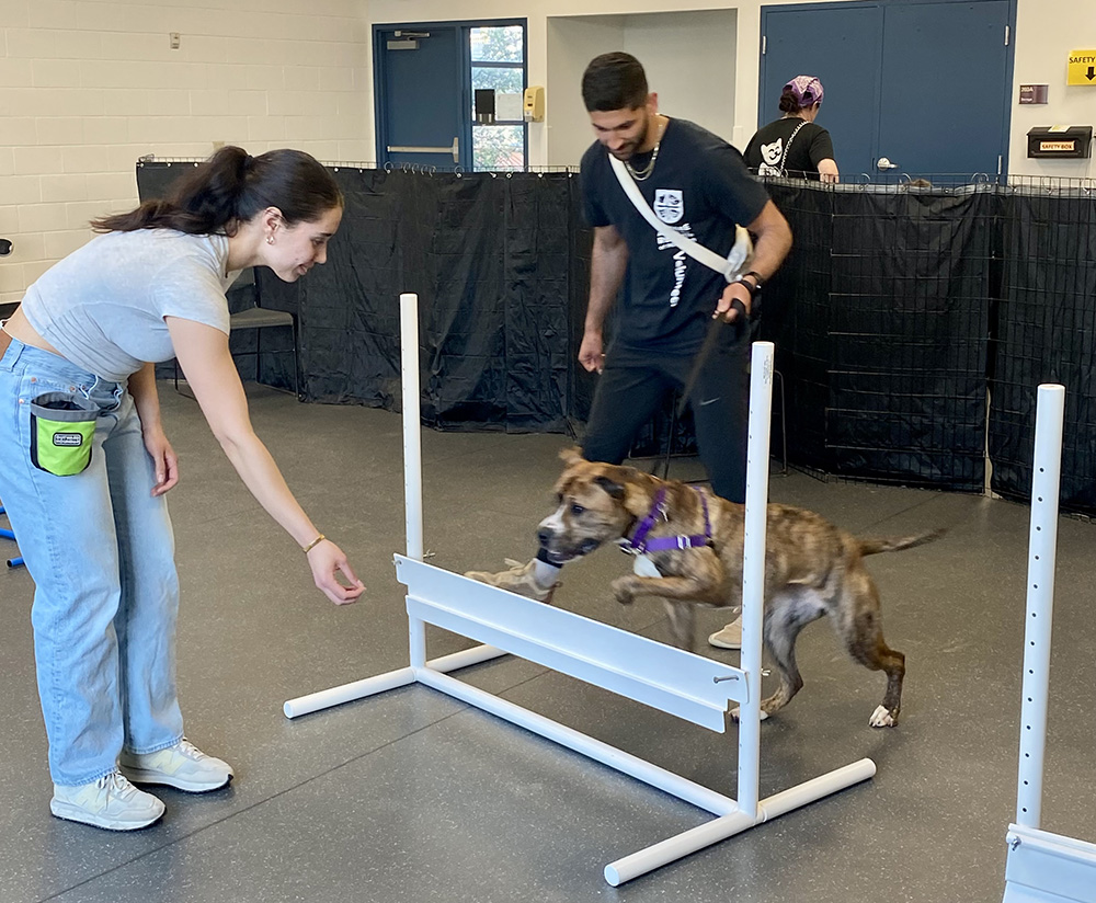 Pictured are students working with a dog at the North Side Humane Animal Rescue. Photo by Nicole Chynoweth.