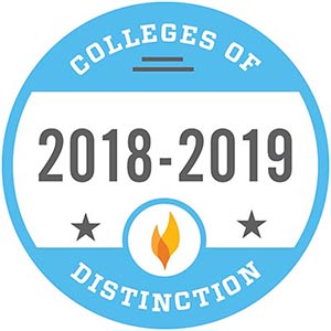 Logo for national College of Distinction 2018-19