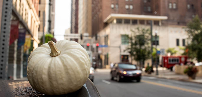 A photo of a pumpkin on Wood Street. Photo | Annie Brewer