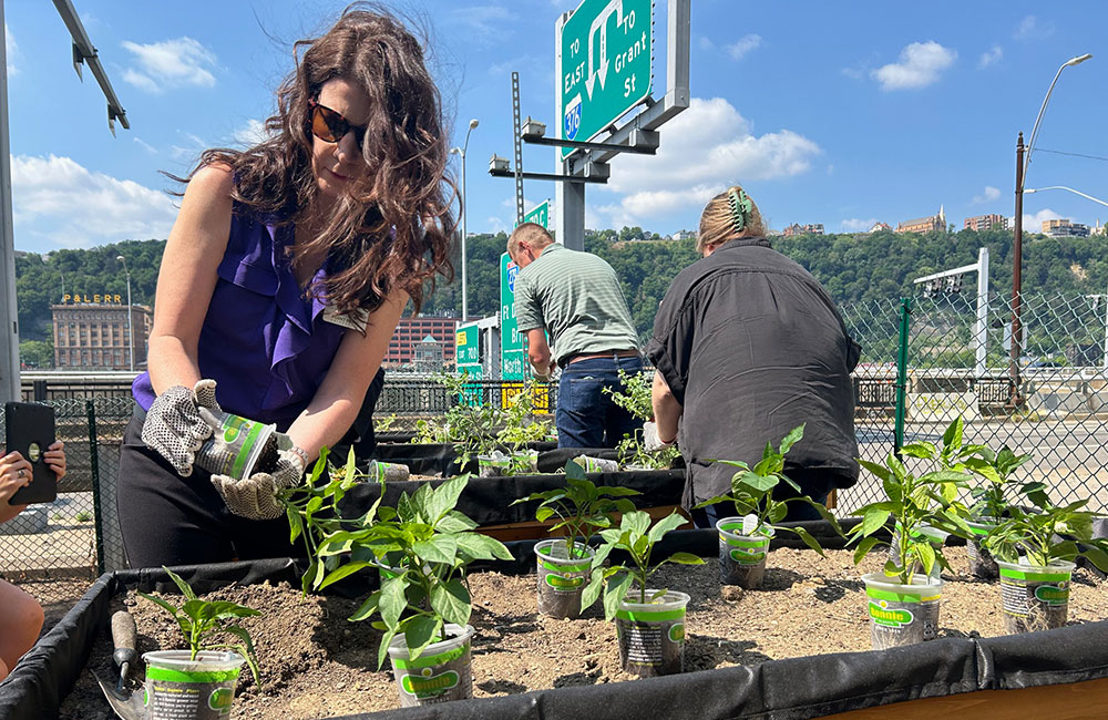 A woman plants vegetables in a raised bed with downtown in the background.